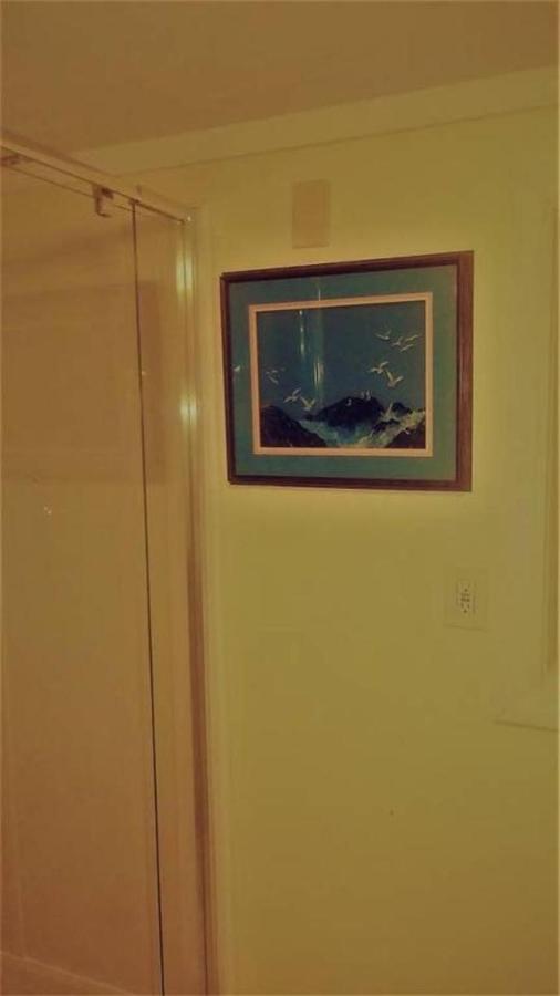 Cheap East Knoxville Basement Studio Εξωτερικό φωτογραφία