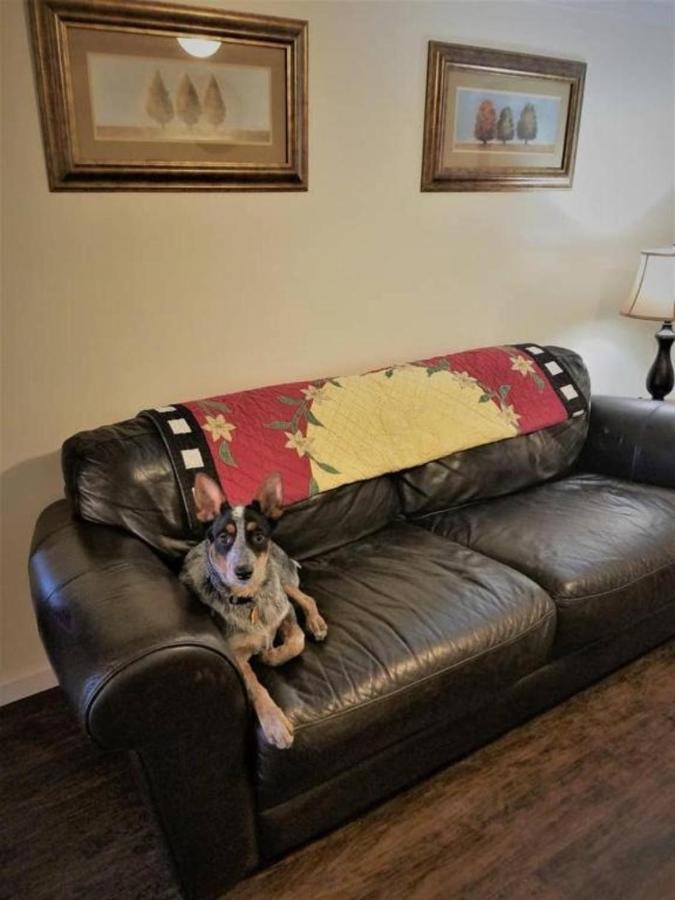 Cheap East Knoxville Basement Studio Εξωτερικό φωτογραφία